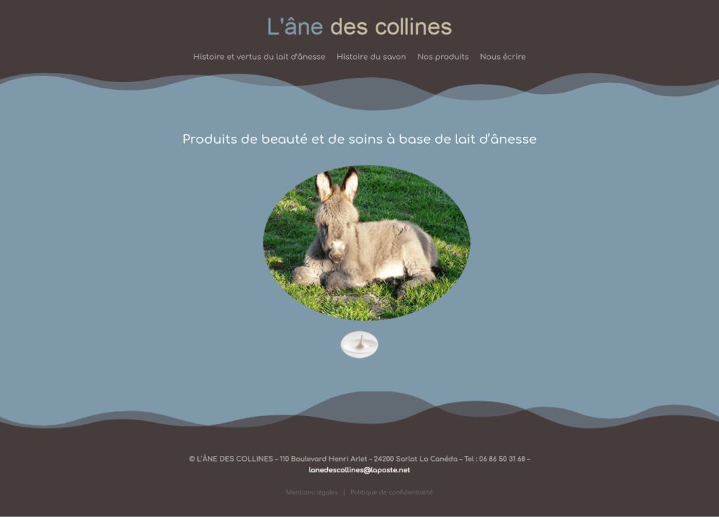 L’âne des collines